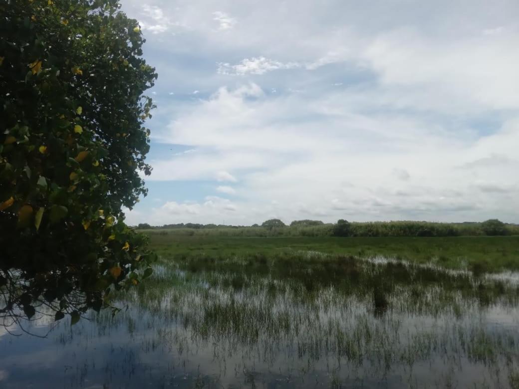 Lagoon Birds - Tangalle Exterior foto